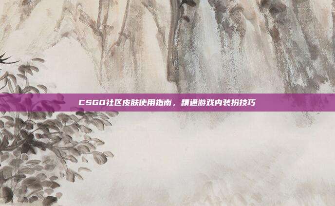 CSGO社区皮肤使用指南,精通游戏内装扮技巧