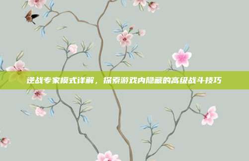 逆战专家模式详解,探索游戏内隐藏的高级战斗技巧