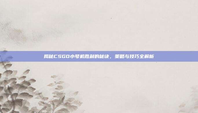 揭秘CSGO小号机胜利的秘诀,策略与技巧全解析