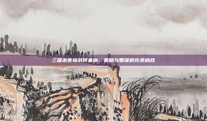 三国杀曹操武将集锦,策略与智谋的完美融合