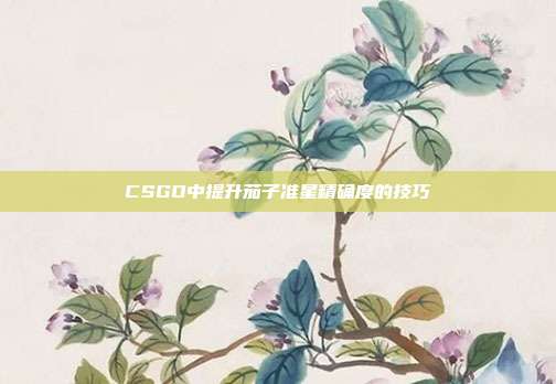 CSGO中提升茄子准星精确度的技巧