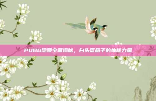 PUBG隐藏宝藏揭秘,白头盔箱子的神秘力量