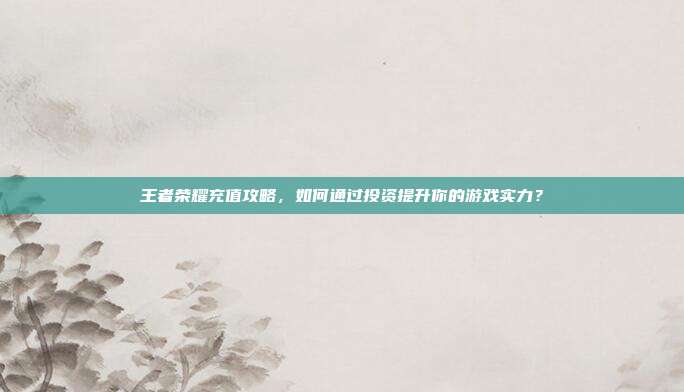 王者荣耀充值攻略,如何通过投资提升你的游戏实力?