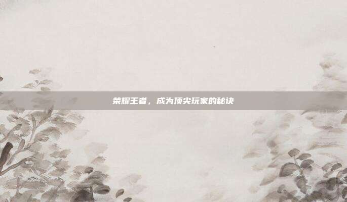 荣耀王者,成为顶尖玩家的秘诀
