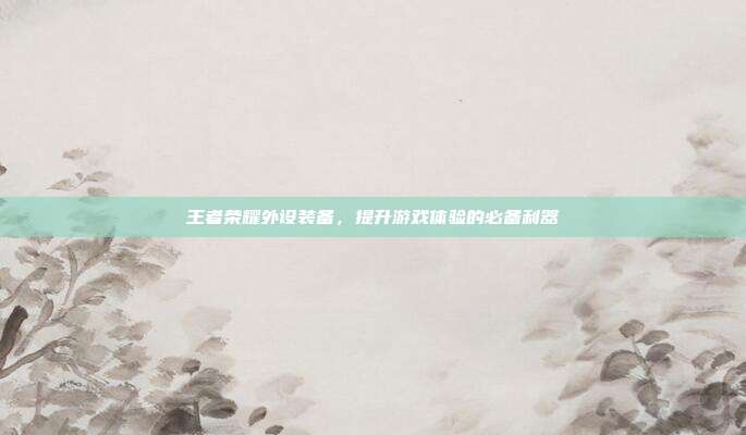 王者荣耀外设装备,提升游戏体验的必备利器