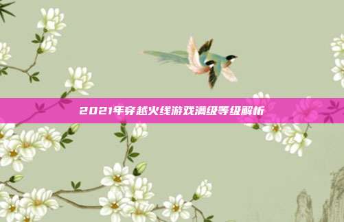 2021年穿越火线游戏满级等级解析