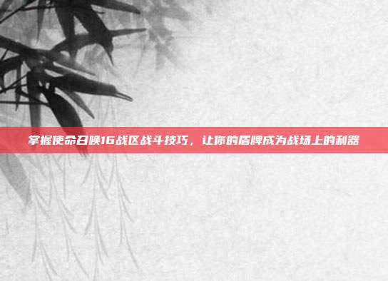 掌握使命召唤16战区战斗技巧,让你的盾牌成为战场上的利器