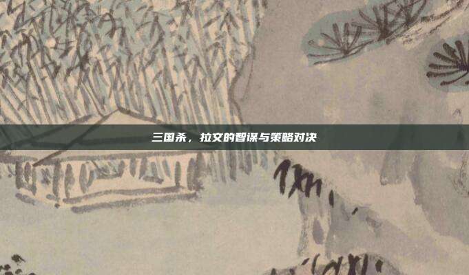 三国杀,拉文的智谋与策略对决