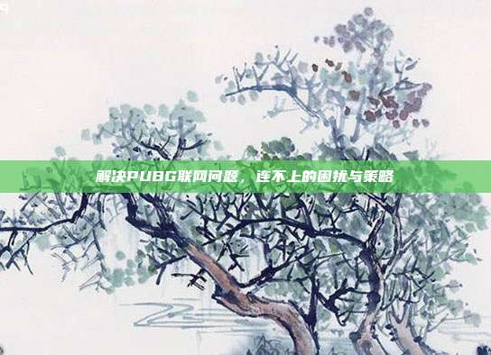 解决PUBG联网问题,连不上的困扰与策略