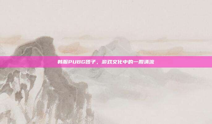 韩服PUBG团子,游戏文化中的一股清流