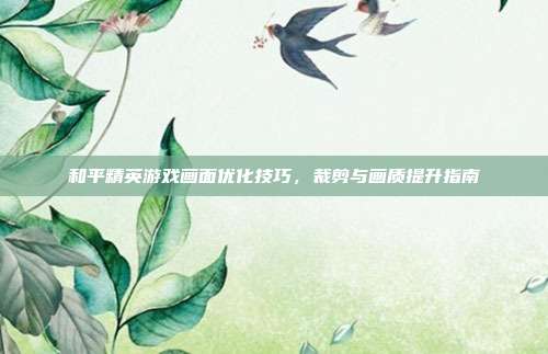 和平精英游戏画面优化技巧,裁剪与画质提升指南