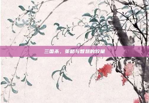 三国杀,策略与智慧的较量