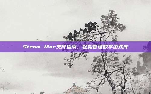 Steam Mac支付指南,轻松管理数字游戏库