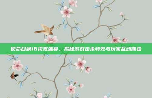 使命召唤16视觉盛宴,揭秘游戏击杀特效与玩家互动体验