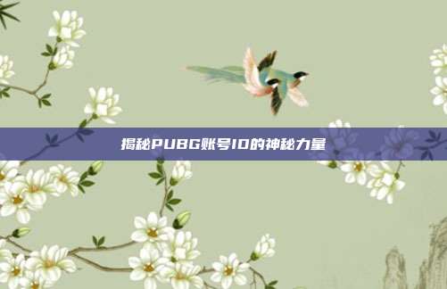 揭秘PUBG账号ID的神秘力量