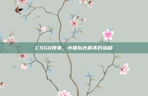 CSGO传奇,小猪队长的不朽旅程