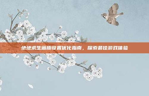 绝地求生画质设置优化指南,探索最佳游戏体验