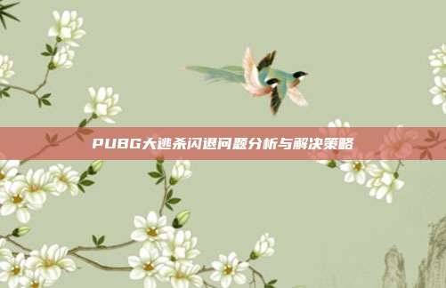 PUBG大逃杀闪退问题分析与解决策略