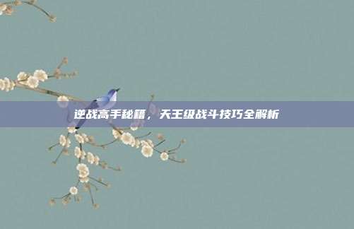 逆战高手秘籍,天王级战斗技巧全解析