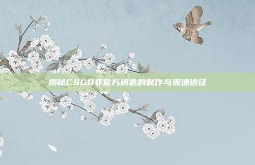 揭秘CSGO非官方钥匙的制作与流通途径