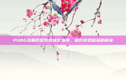 PUBG台服匹配系统优化指南,提升游戏体验的秘诀