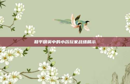 和平精英中的小药玩家战绩展示