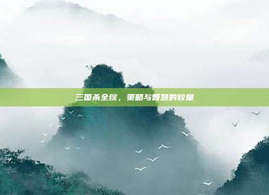 三国杀全综,策略与智慧的较量