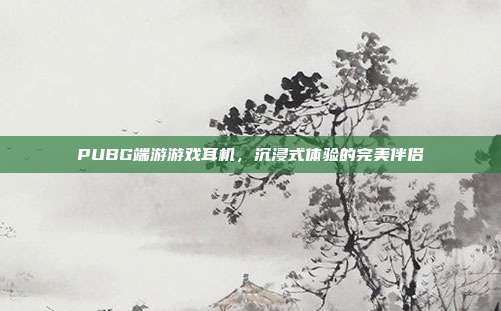 PUBG端游游戏耳机,沉浸式体验的完美伴侣