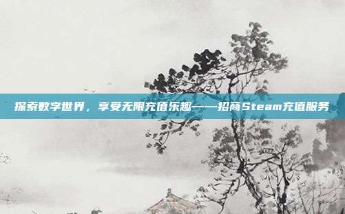 探索数字世界,享受无限充值乐趣——招商Steam充值服务