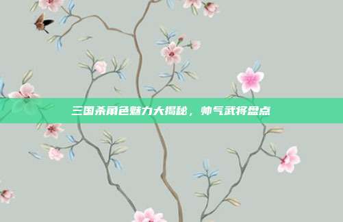 三国杀角色魅力大揭秘,帅气武将盘点