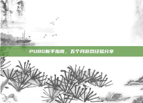 PUBG新手指南,五个月游戏经验分享