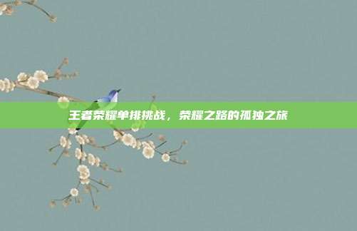 王者荣耀单排挑战,荣耀之路的孤独之旅