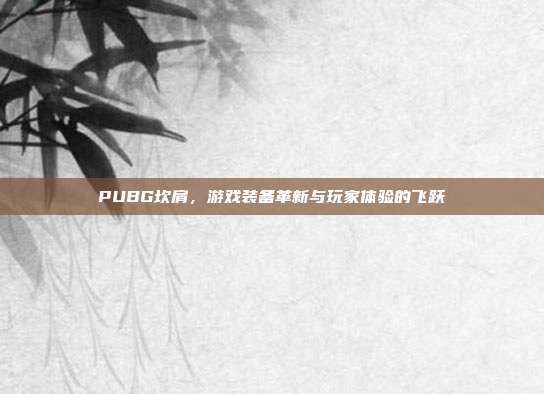 PUBG坎肩,游戏装备革新与玩家体验的飞跃
