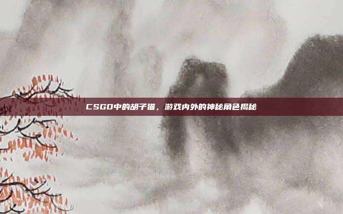 CSGO中的胡子猫,游戏内外的神秘角色揭秘