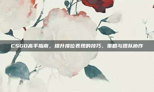 CSGO高手指南,提升排位表现的技巧、策略与团队协作
