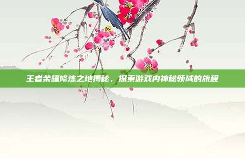 王者荣耀修炼之地揭秘,探索游戏内神秘领域的旅程