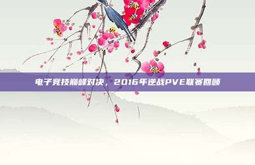 电子竞技巅峰对决,2016年逆战PVE联赛回顾