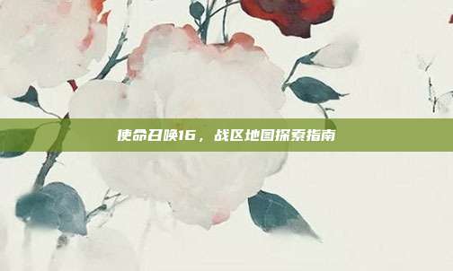 使命召唤16,战区地图探索指南