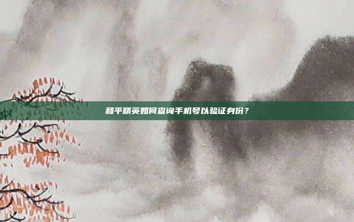 和平精英如何查询手机号以验证身份?