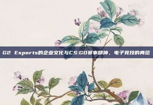 G2 Esports的企业文化与CS:GO赛事精神,电子竞技的典范