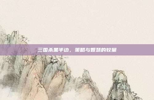 三国杀黑半边,策略与智慧的较量