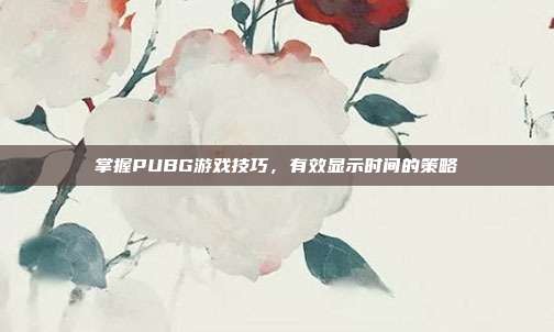 掌握PUBG游戏技巧,有效显示时间的策略