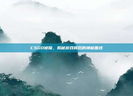 CSGO侦探,揭秘游戏背后的神秘面纱