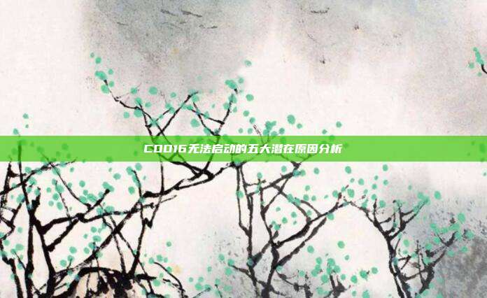 COD16无法启动的五大潜在原因分析