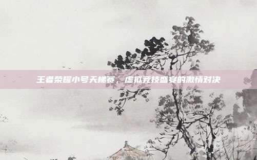 王者荣耀小号天梯赛,虚拟竞技盛宴的激情对决