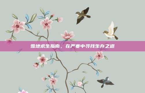 雪地求生指南,在严寒中寻找生存之道