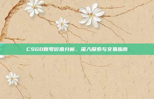 CSGO账号价值分析,深入探索与交易指南