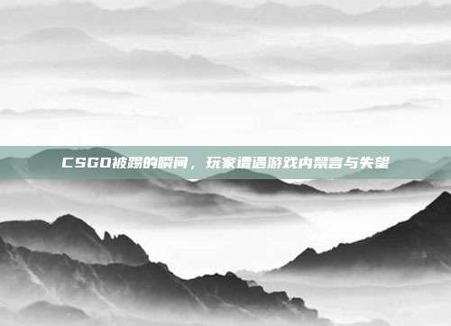 CSGO被踢的瞬间,玩家遭遇游戏内禁言与失望
