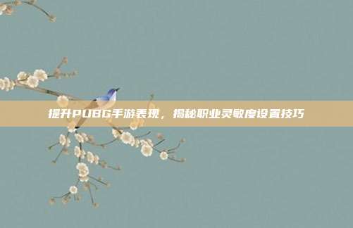 提升PUBG手游表现,揭秘职业灵敏度设置技巧