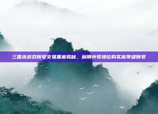 三国杀游戏账号交易黑幕揭秘,利用小号排位购买高等级账号